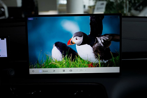 Фото автомобиля